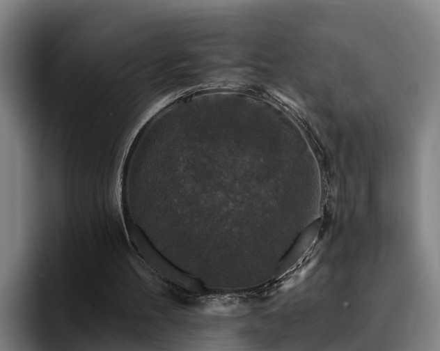 X0000094940100200712061239