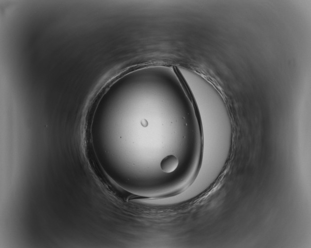 X0000094940101200712061239