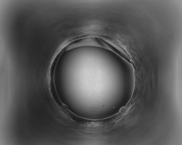 X0000094940102200712061239