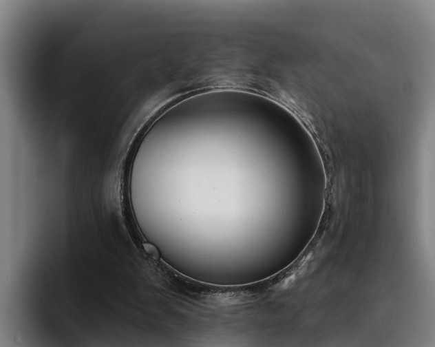 X0000094940103200712061239