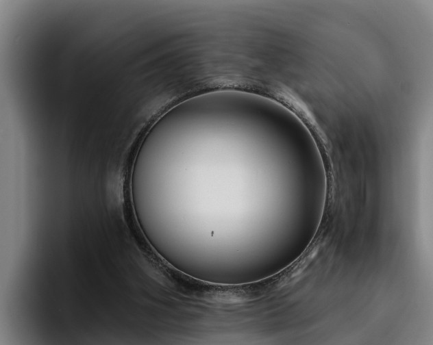 X0000094940106200712061239