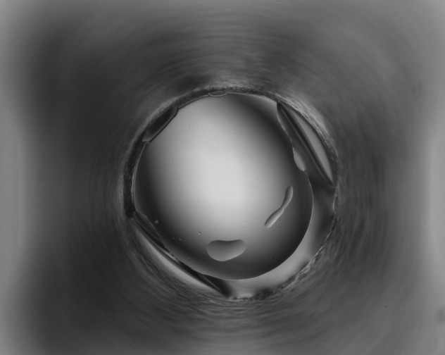 X0000094940108200712061239