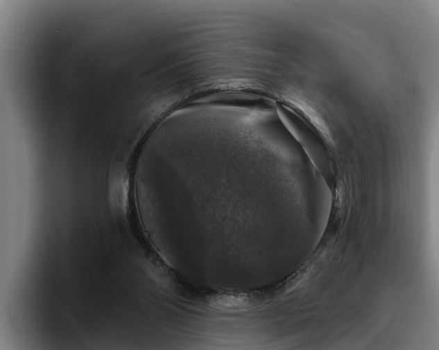 X0000094940110200712061239