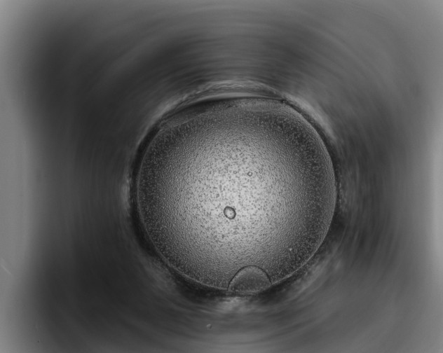 X0000094940111200712061239