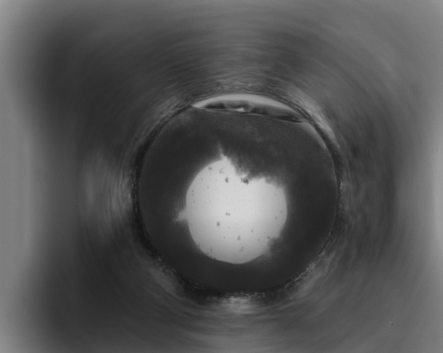 X0000094940114200712061239