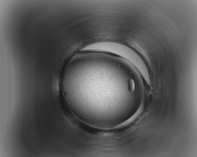 X0000094940115200712061239