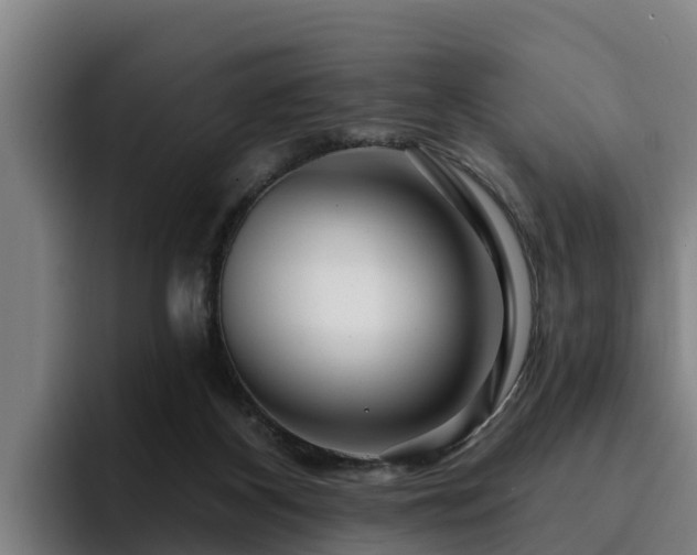 X0000094940116200712061239