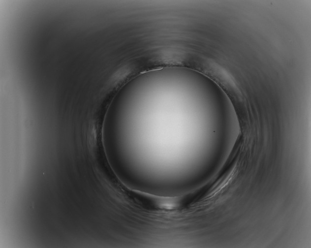 X0000094940120200712061239