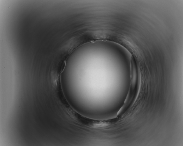 X0000094940125200712061239