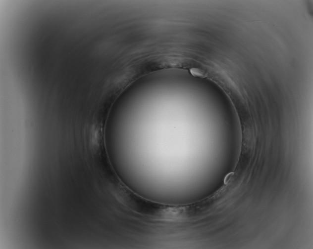 X0000094940126200712061239