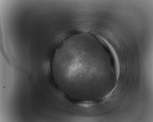 X0000094940128200712061239