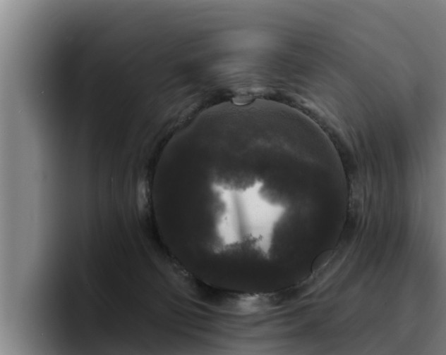 X0000094940130200712061239