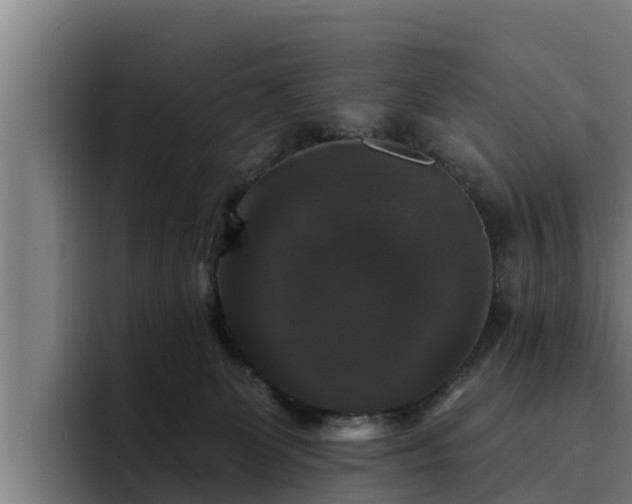 X0000094940131200712061239