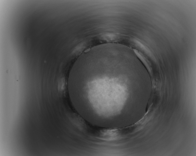 X0000094940132200712061239