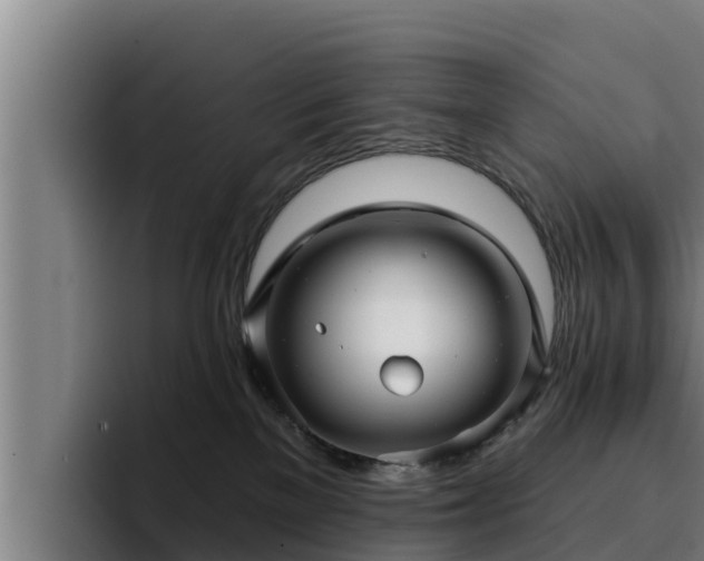 X0000094940137200712061239