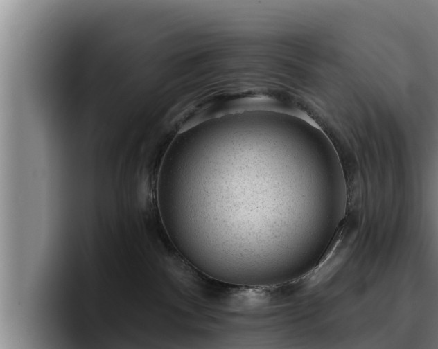 X0000094940140200712061239