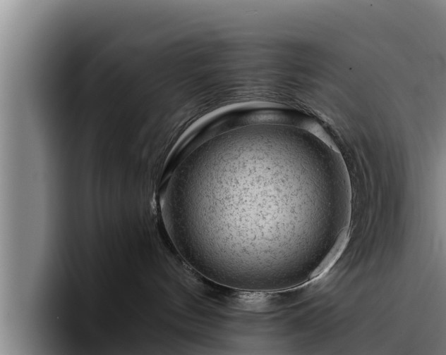 X0000094940144200712061238