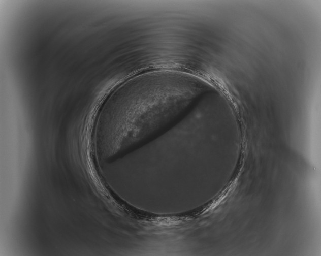 X0000094940145200712061238