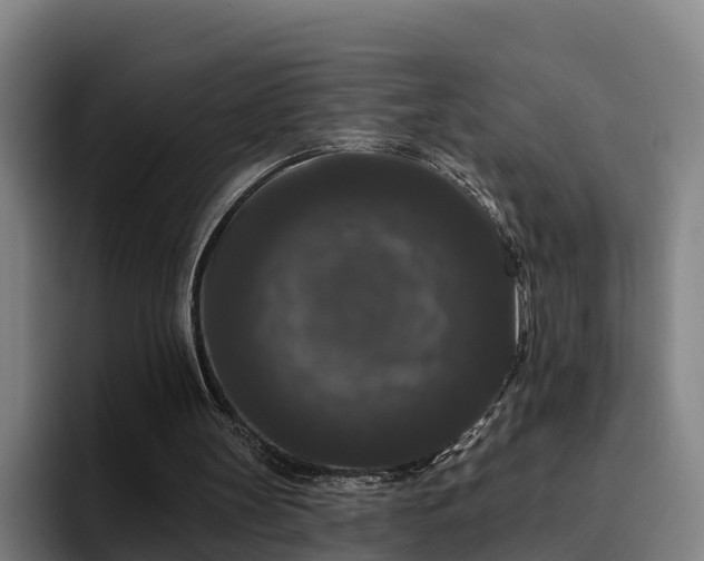 X0000094940147200712061238