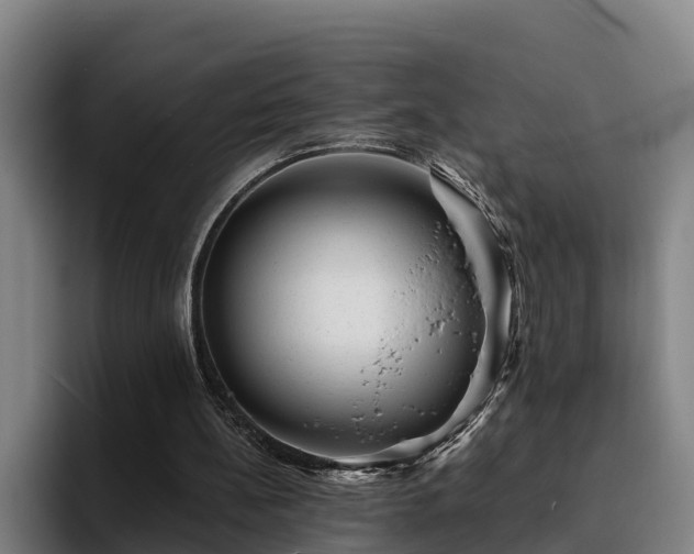 X0000094940148200712061238