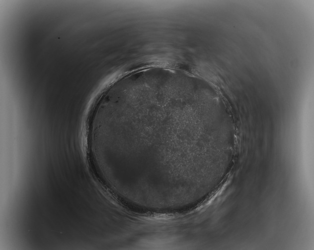 X0000094940149200712061238