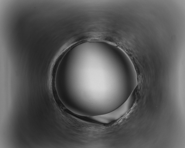 X0000094940150200712061238