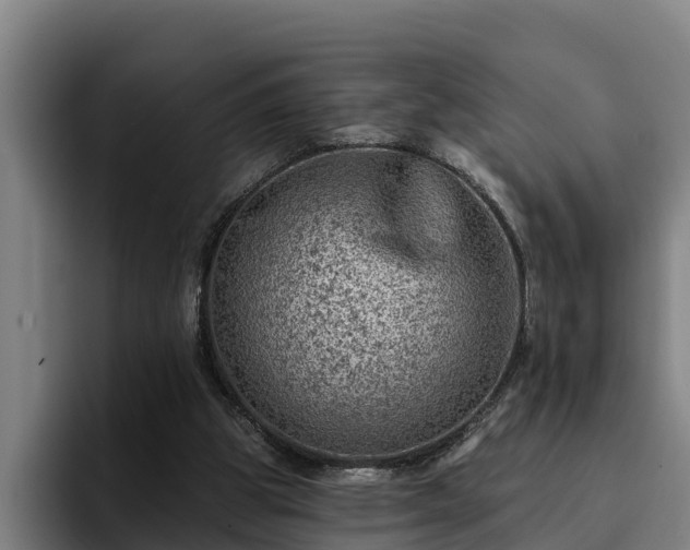 X0000094940153200712061238