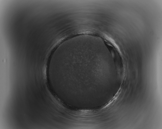 X0000094940154200712061238