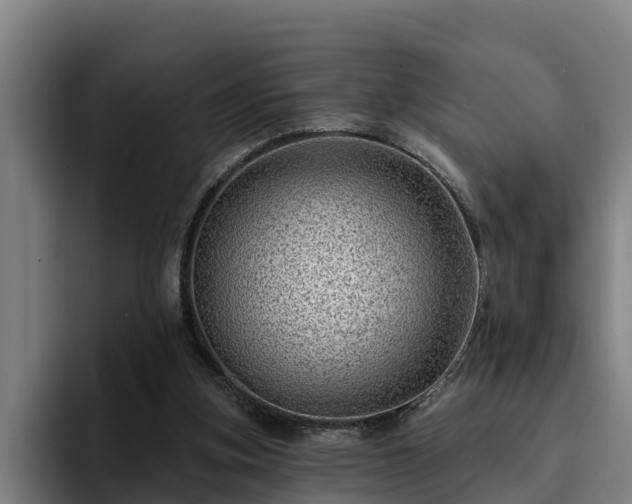 X0000094940155200712061238