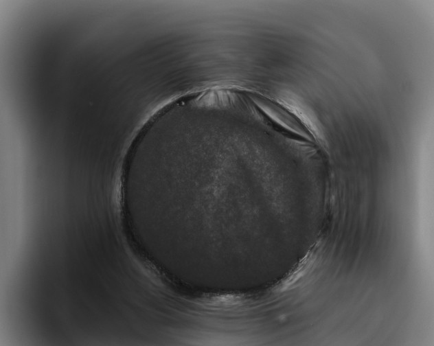 X0000094940156200712061238