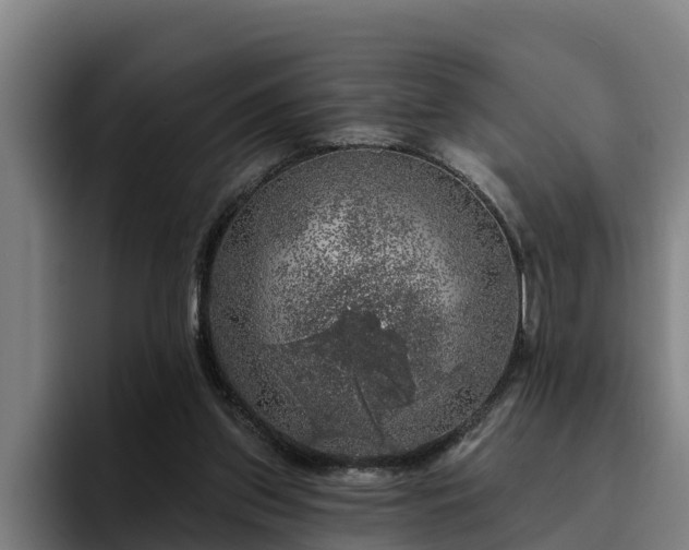 X0000094940157200712061238