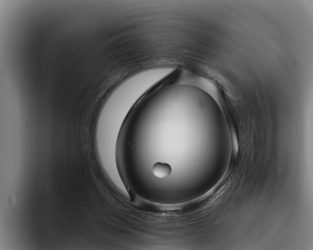 X0000094940158200712061238