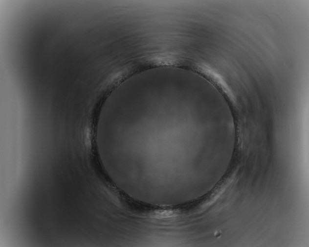 X0000094940161200712061238