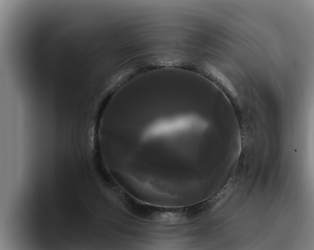 X0000094940163200712061238