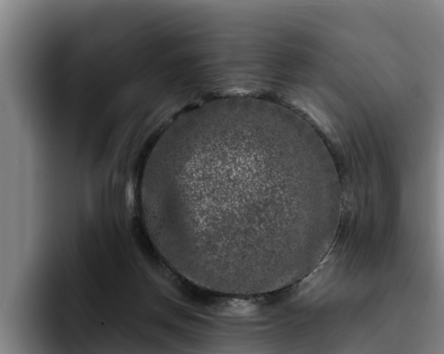 X0000094940166200712061238