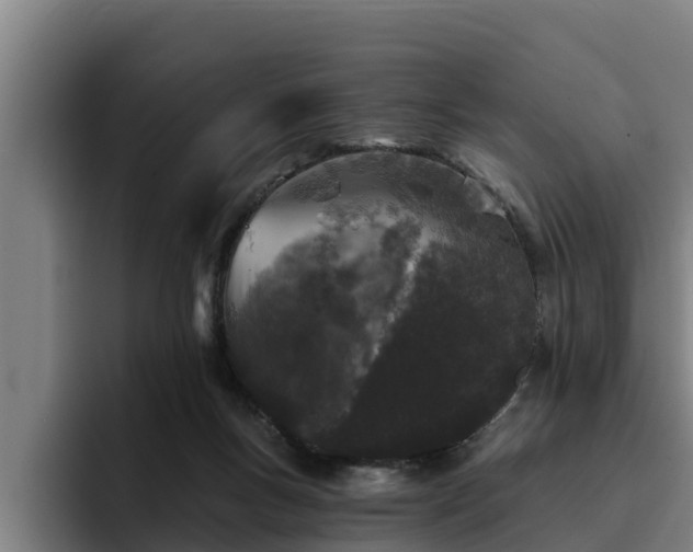 X0000094940167200712061238