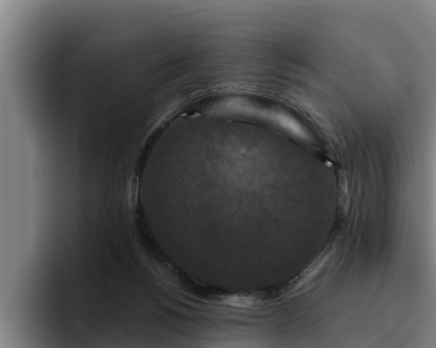 X0000094940168200712061238