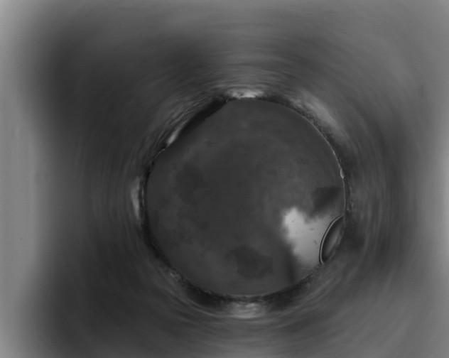 X0000094940169200712061238