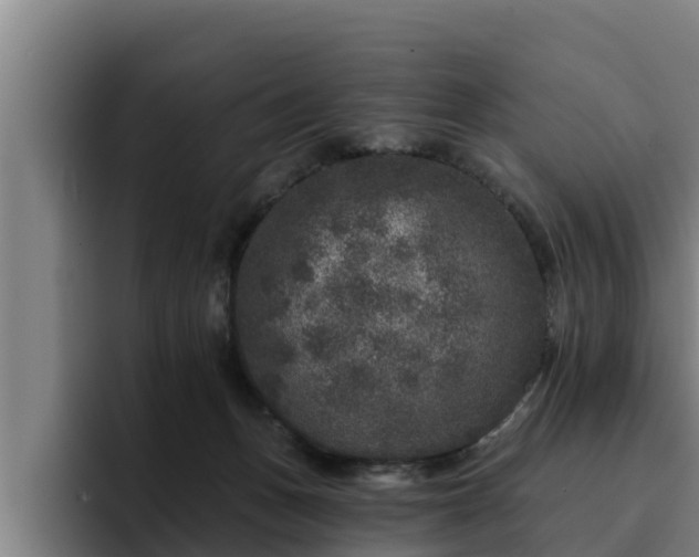 X0000094940175200712061238