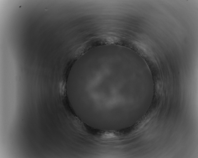 X0000094940177200712061238