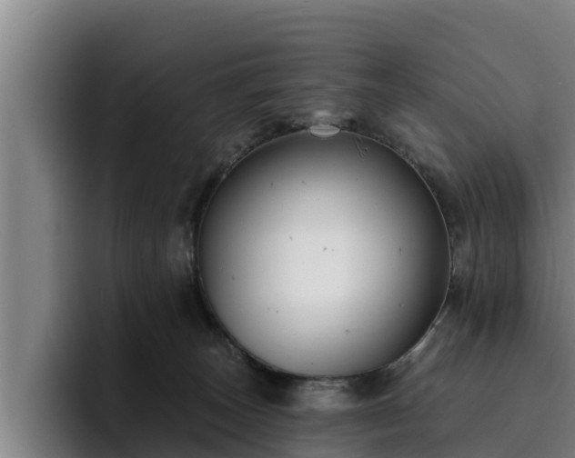 X0000094940179200712061238