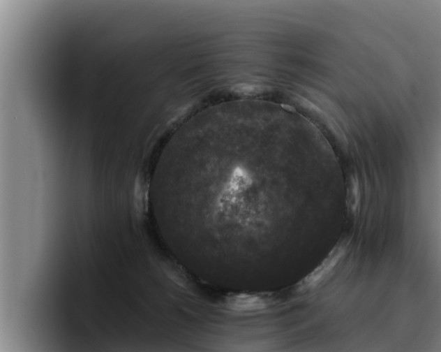 X0000094940180200712061238