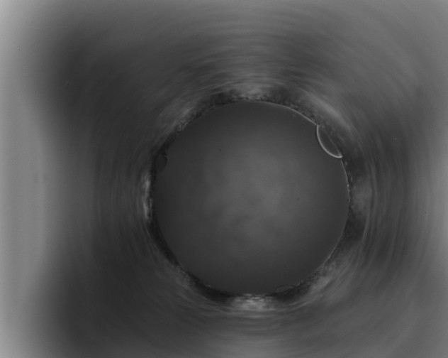 X0000094940181200712061238