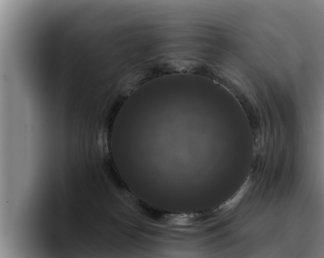 X0000094940182200712061238