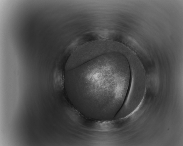 X0000094940186200712061238