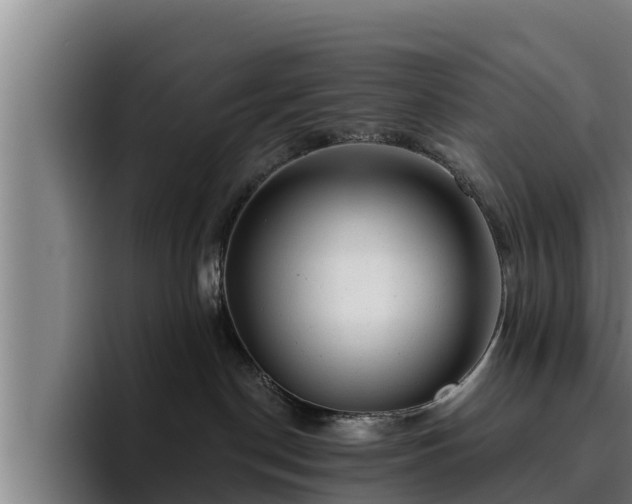 X0000094940190200712061238