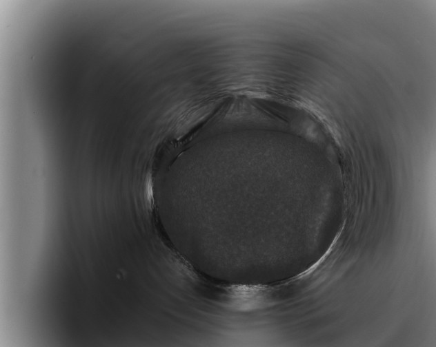 X0000094940192200712061238