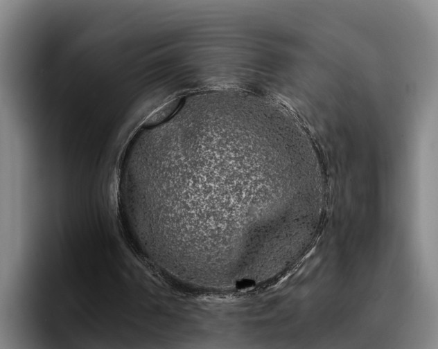 X0000094940194200712061238