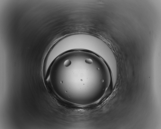 X0000094940195200712061238