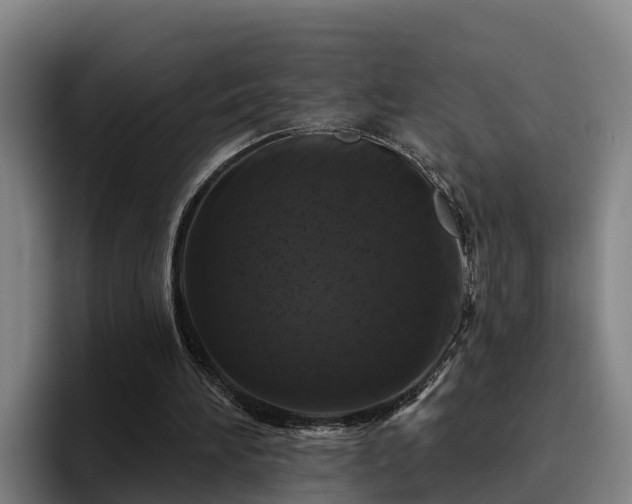 X0000094940196200712061238